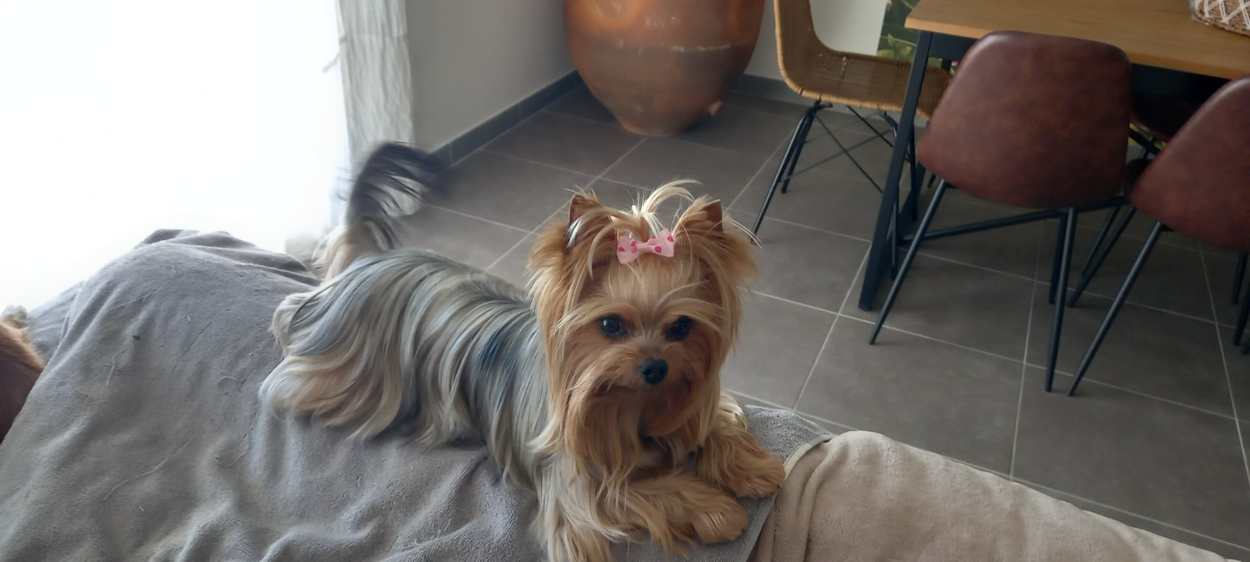 Une Pin'up Mad Square Garden